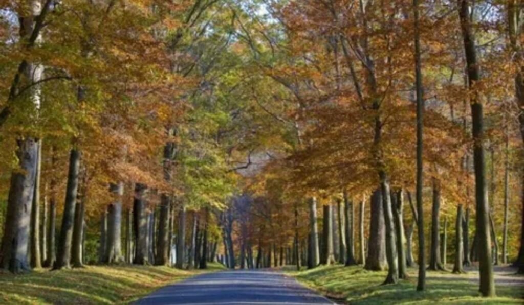 beautiful-for-every-situation