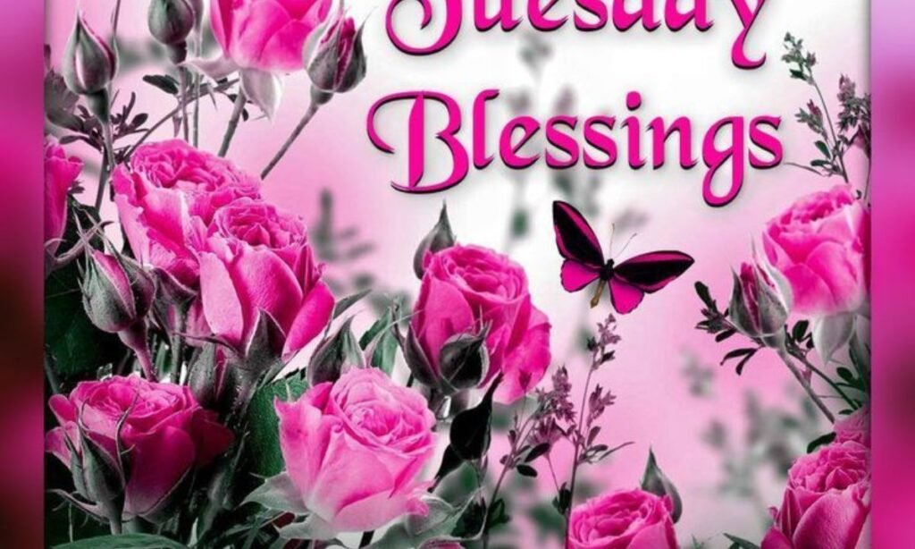 beautiful-tuesday-morning-blessings