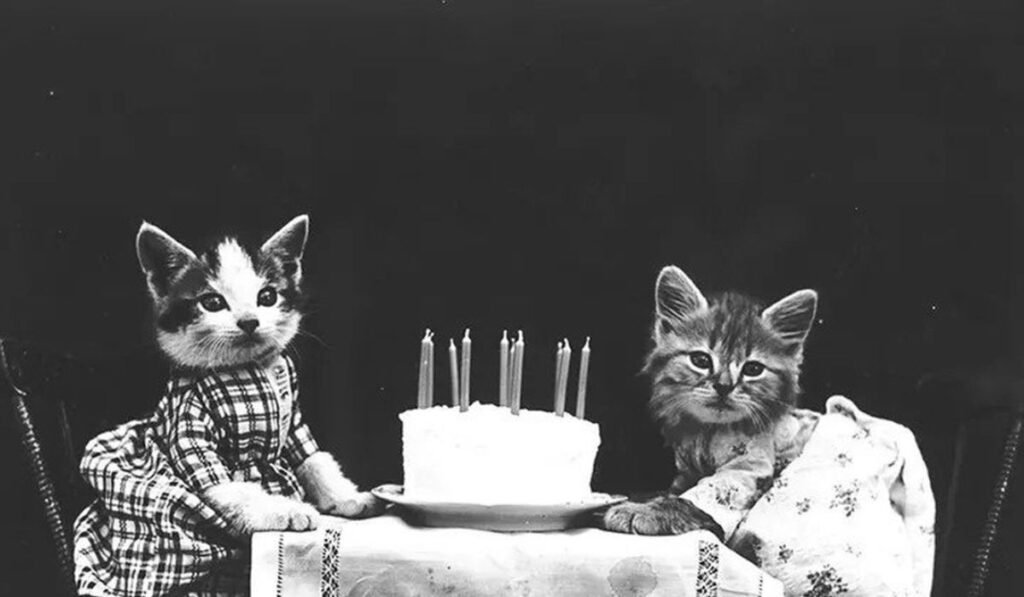 hilarious-birthday-poems-for-adults