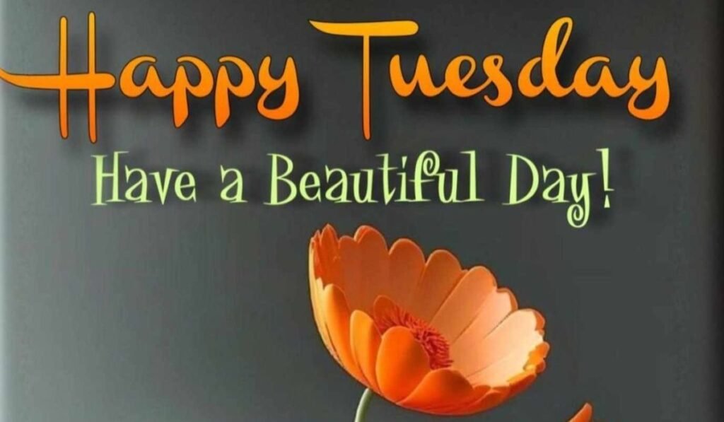 how-to-use-tuesday-blessings-in-daily-life