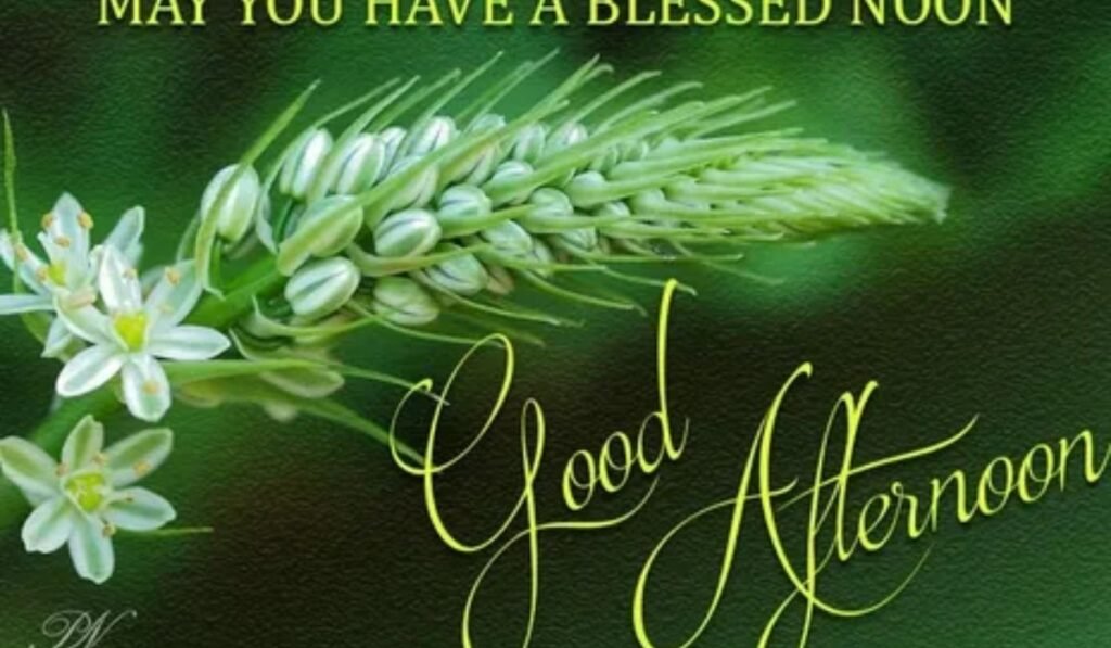 inspirational-good-afternoon-blessings