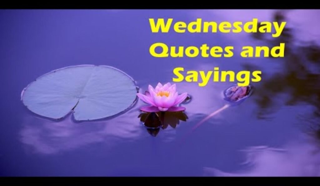 wednesday-quotes-for-midweek-motivation