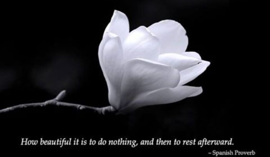 inspiring-midweek-quotes-and-status